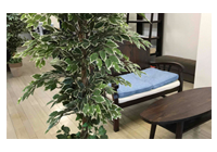 伊東洋子司法書士事務所 写真